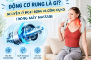 Động cơ rung là gì? Nguyên lý hoạt động và công dụng trong máy massage