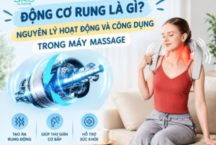 Động cơ rung là gì? Nguyên lý hoạt động và công dụng trong máy massage