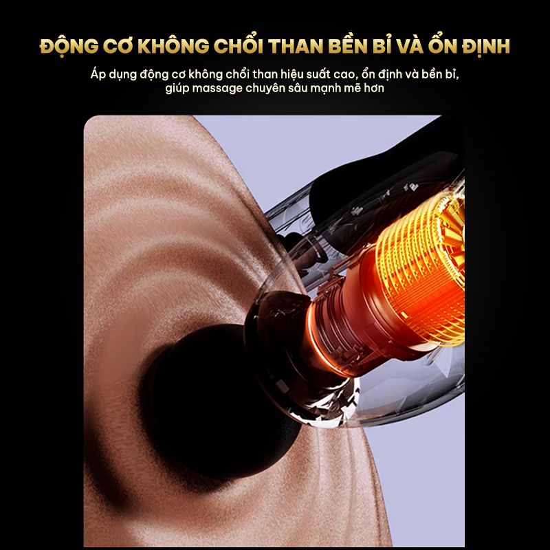 Sức mạnh vượt trội từ động cơ không chổi than, chinh phục mọi nhóm cơ